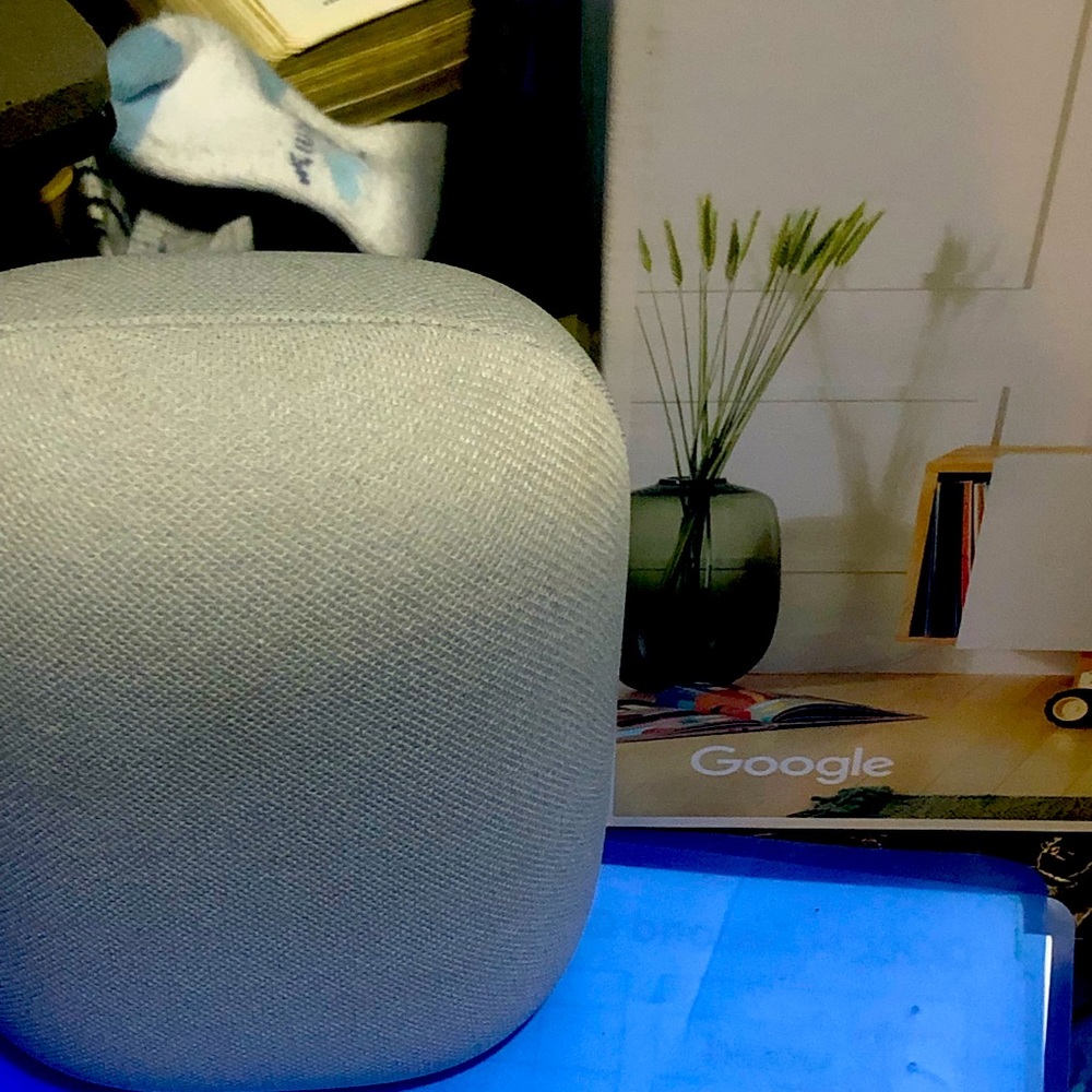 Google Nest medium size grayish color brand new fresh out the box
